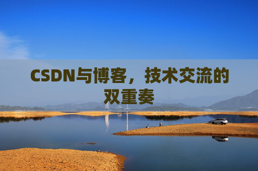 CSDN与博客，技术交流的双重奏
